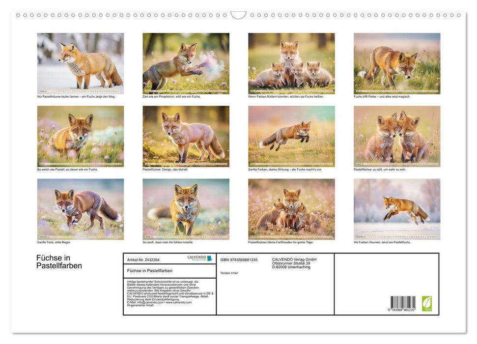 Füchse in Pastellfarben (CALVENDO Wandkalender 2027)