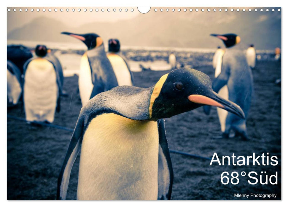 Antarktis 68° Süd (CALVENDO Wandkalender 2027)