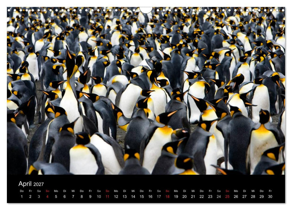 Antarktis 68° Süd (CALVENDO Wandkalender 2027)