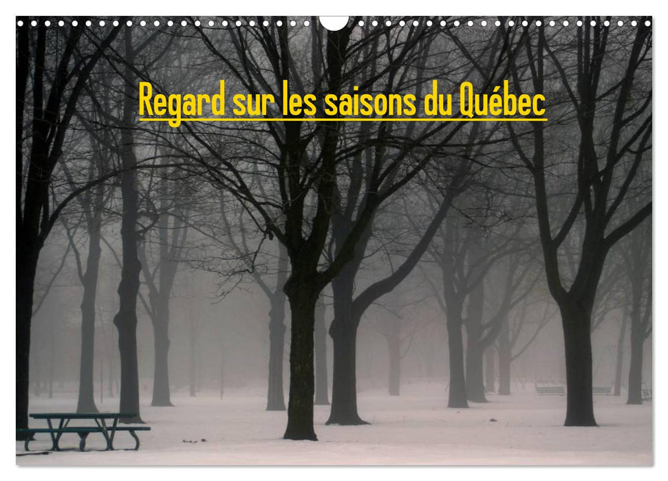 Regard sur les saisons du Québec (CALVENDO Calendrier mensuel 2027)