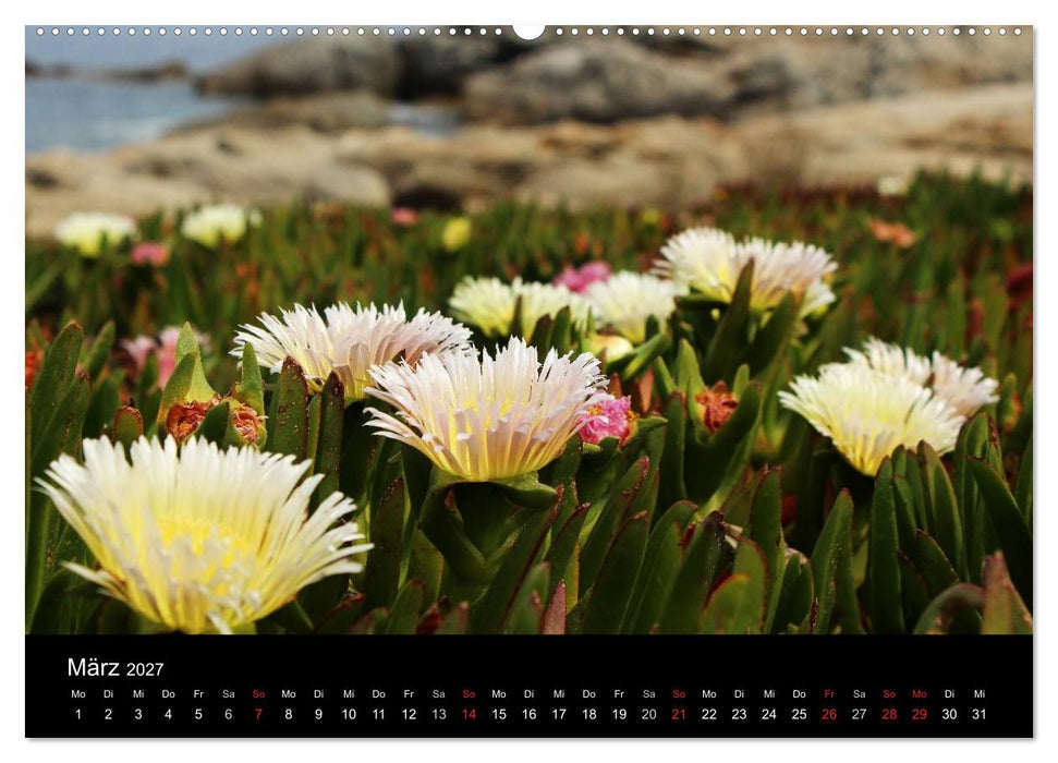 Korsika - Mediterrane Vielfalt (CALVENDO Wandkalender 2027)