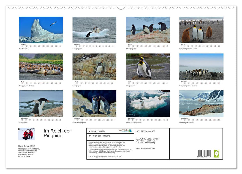 Im Reich der Pinguine (CALVENDO Wandkalender 2027)