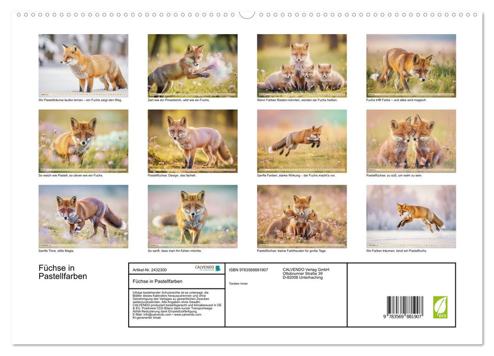 Füchse in Pastellfarben (CALVENDO Premium Wandkalender 2027)