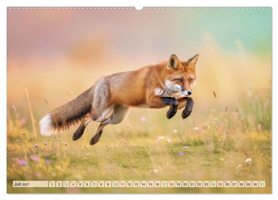 Füchse in Pastellfarben (CALVENDO Premium Wandkalender 2027)
