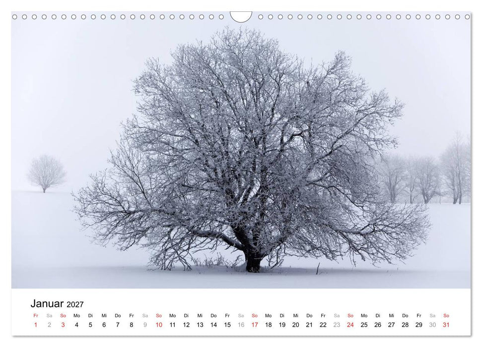 Die Rhön (CALVENDO Wandkalender 2027)