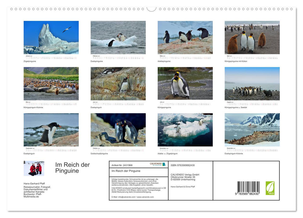 Im Reich der Pinguine (CALVENDO Premium Wandkalender 2027)