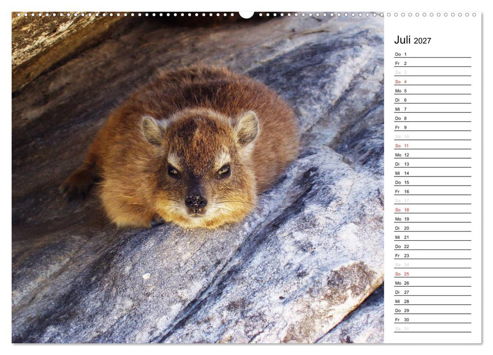Südafrika - Big 5 und mehr (CALVENDO Premium Wandkalender 2027)