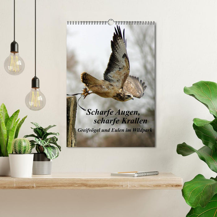 Scharfe Krallen, scharfe Augen, Greifvögel und Eulen im Wildpark (CALVENDO Wandkalender 2027)