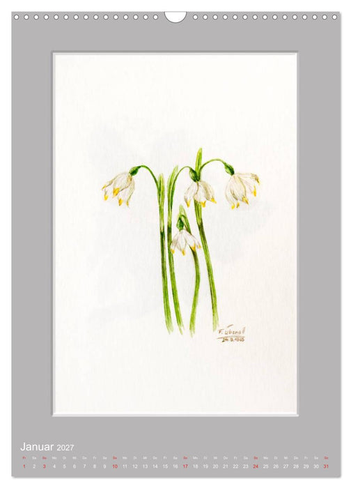 Alpenblumen Aquarelle aus Tirol (CALVENDO Wandkalender 2027)