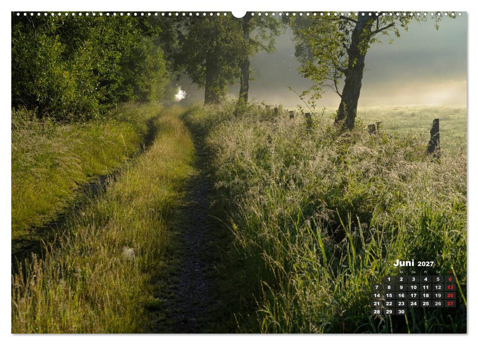 Die Dingdener Heide im Wandel der Jahreszeiten (CALVENDO Wandkalender 2027)