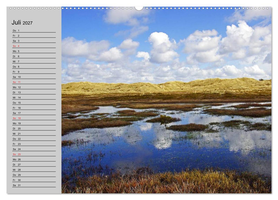 Dänemark - Umgebung von Hvide Sande (CALVENDO Premium Wandkalender 2027)