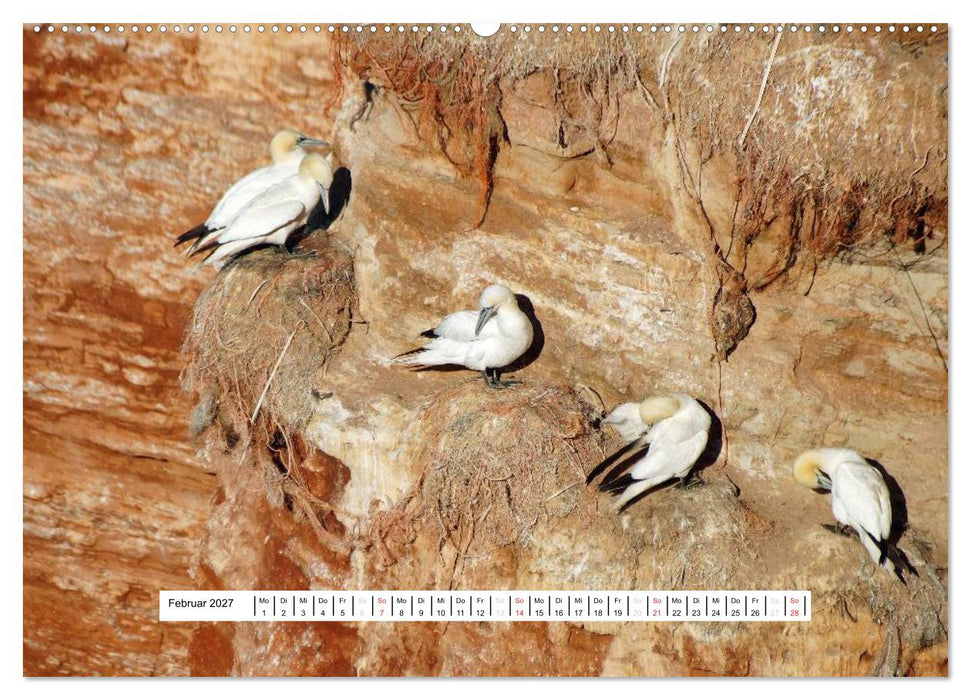 Hochsee-Insel Helgoland (CALVENDO Premium Wandkalender 2027)