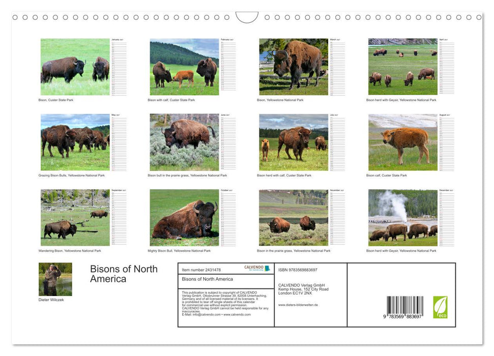 Bisons of North America (CALVENDO Monthly Calendar 2027)