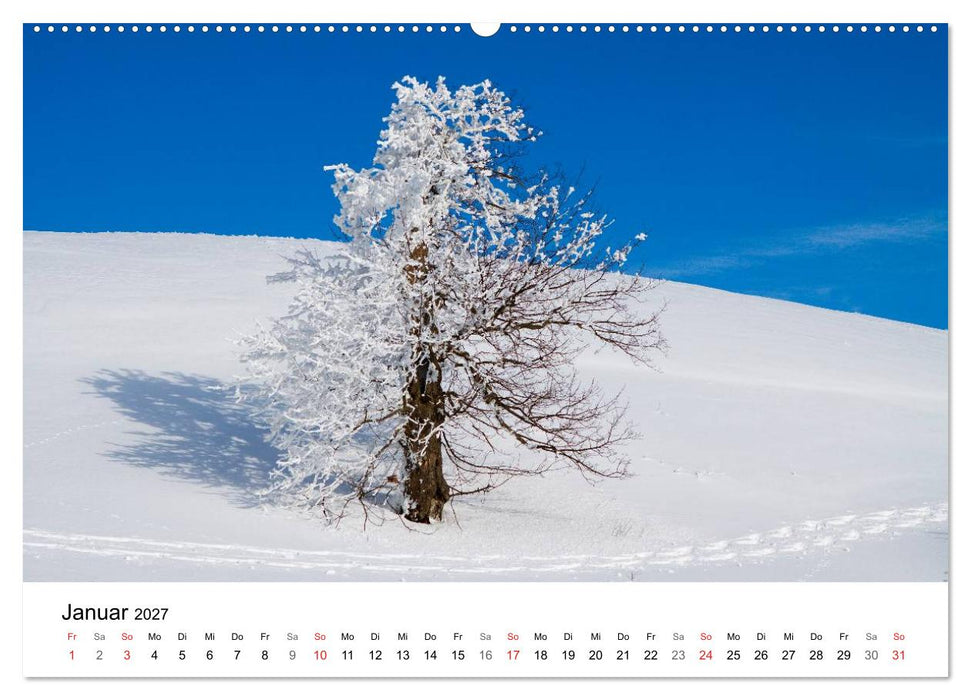 Auf neuen Wegen (CALVENDO Premium Wandkalender 2027)