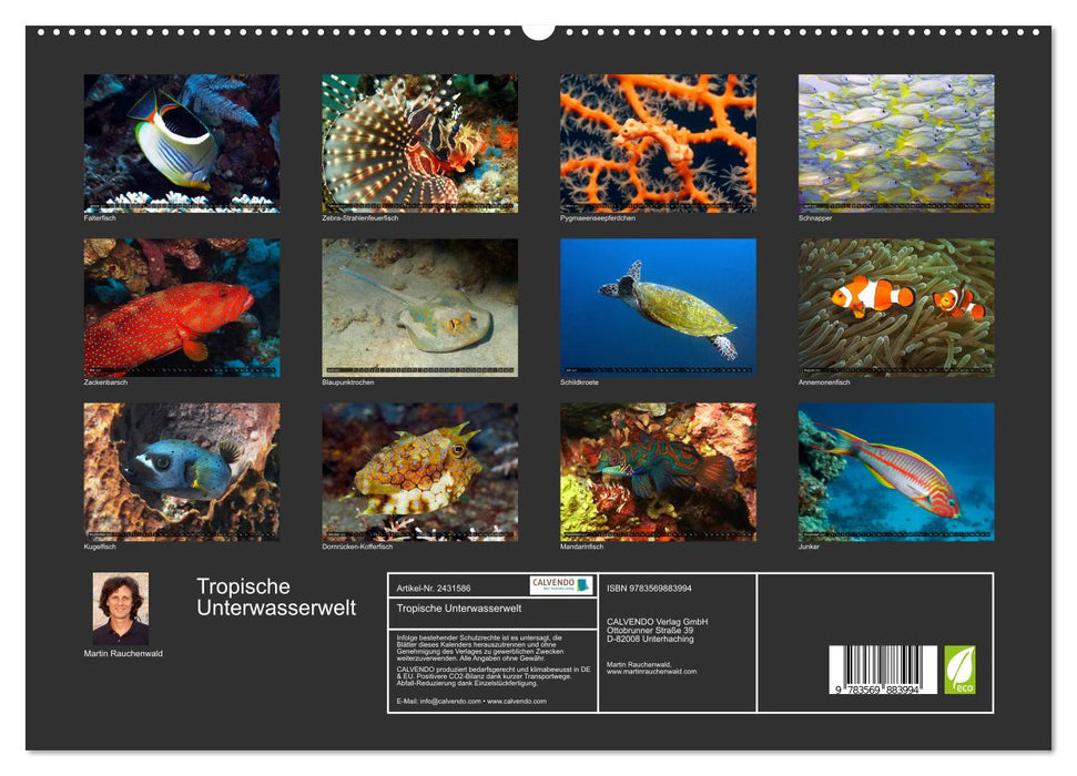 Tropische Unterwasserwelt (CALVENDO Premium Wandkalender 2027)