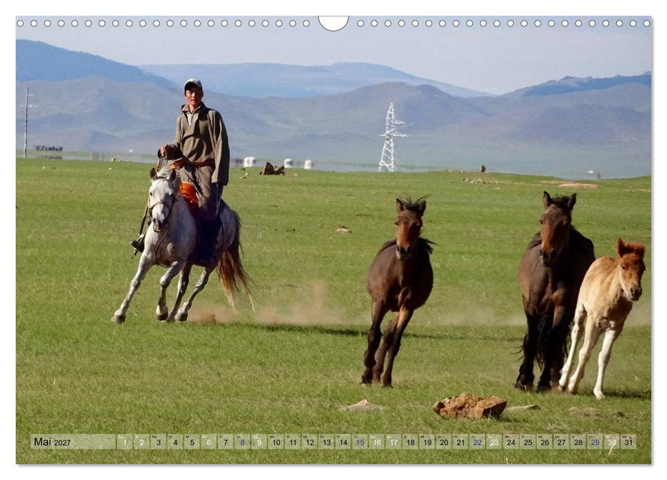 Pferde und Reiter der Mongolei (CALVENDO Wandkalender 2027)