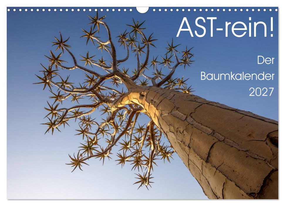 Astrein! - Der Baumkalender 2027 (CALVENDO Wandkalender 2027)