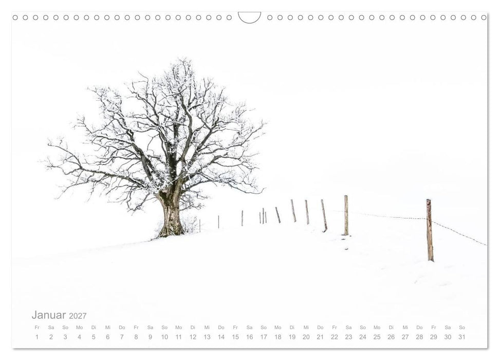 Astrein! - Der Baumkalender 2027 (CALVENDO Wandkalender 2027)