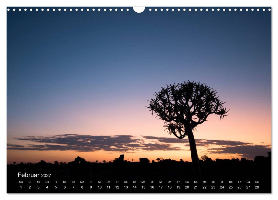Astrein! - Der Baumkalender 2027 (CALVENDO Wandkalender 2027)
