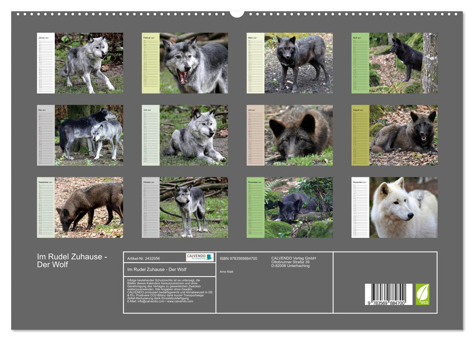 Im Rudel Zuhause - Der Wolf (CALVENDO Premium Wandkalender 2027)
