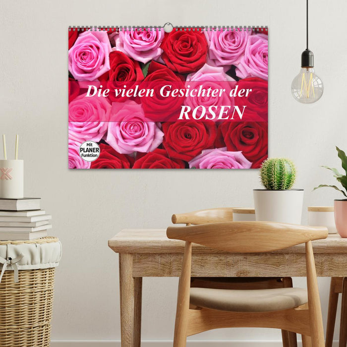 Die vielen Gesichter der Rosen (CALVENDO Wandkalender 2027)