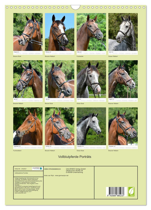 Vollblutpferde Porträts (CALVENDO Wandkalender 2027)