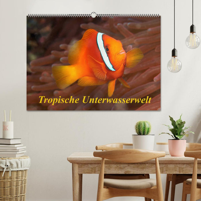 Tropische Unterwasserwelt (CALVENDO Wandkalender 2027)