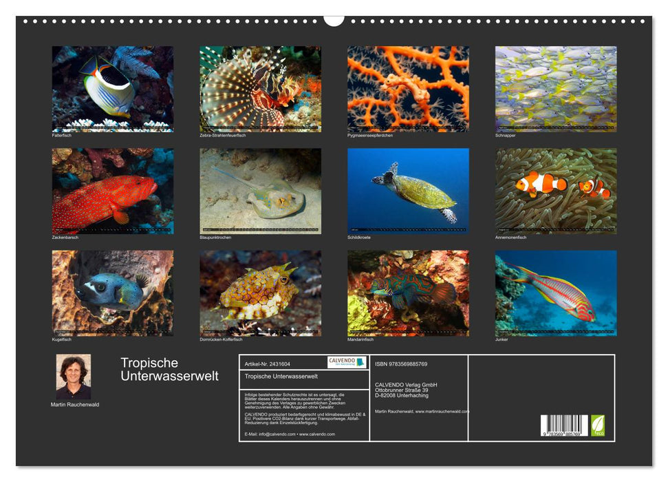 Tropische Unterwasserwelt (CALVENDO Wandkalender 2027)