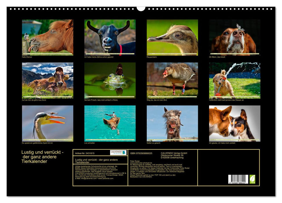 Lustig und verrückt - der ganz andere Tierkalender (CALVENDO Wandkalender 2027)