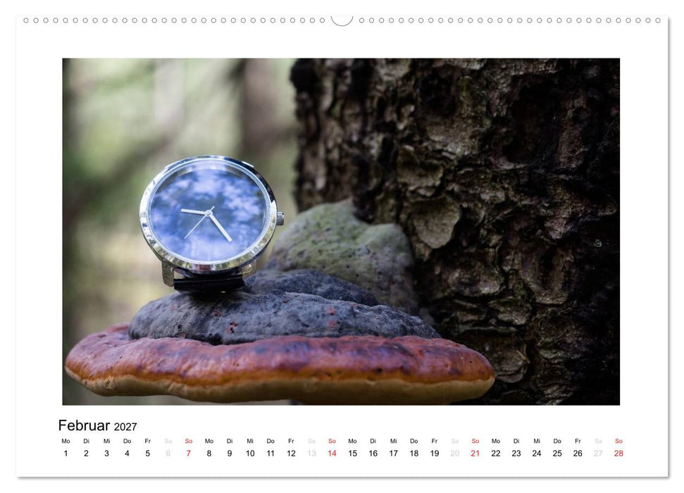 Uhren aus aller Welt (CALVENDO Wandkalender 2027)