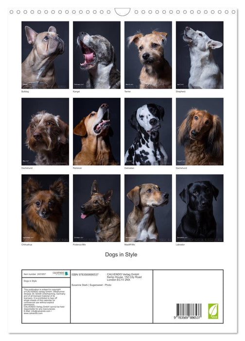 Dogs in Style (CALVENDO Monthly Calendar 2027)