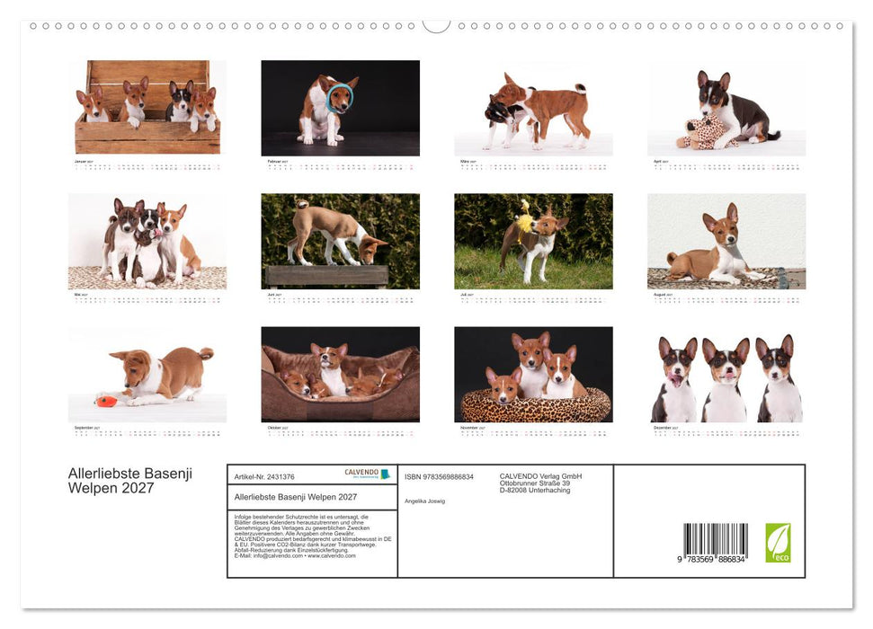 Allerliebste Basenji Welpen 2027 (CALVENDO Premium Wandkalender 2027)