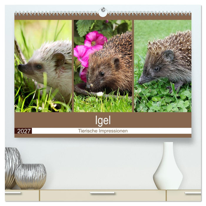 Igel 2027. Tierische Impressionen (CALVENDO Premium Wandkalender 2027)