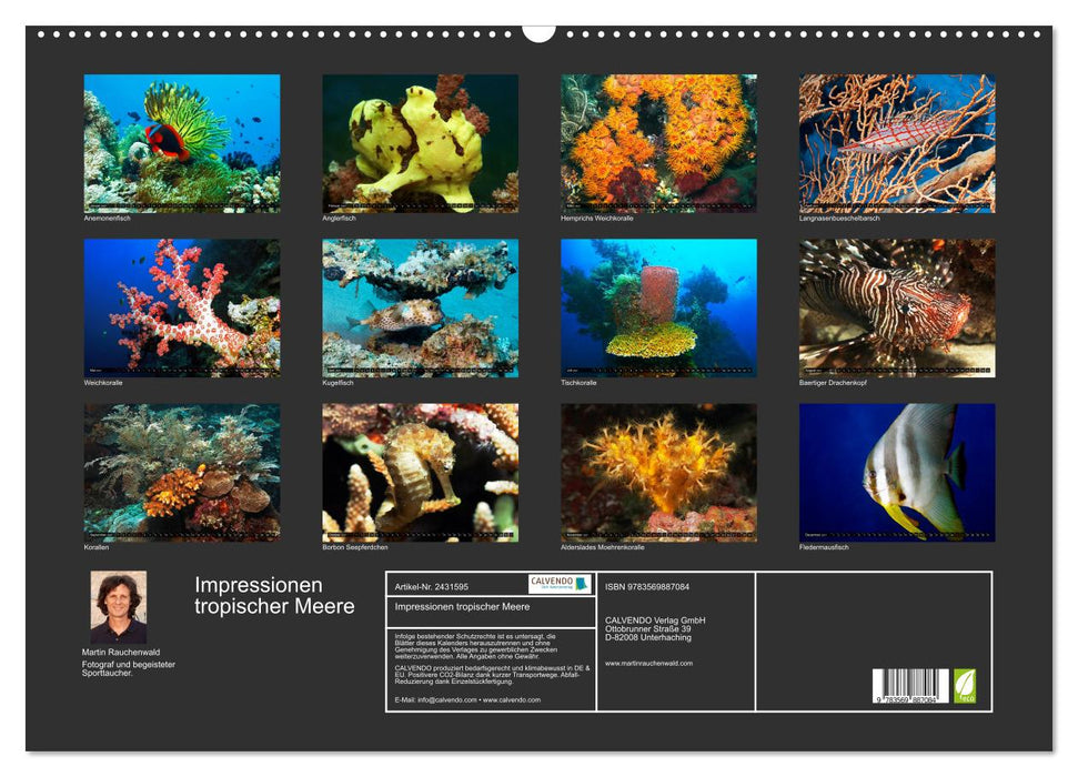Impressionen tropischer Meere (CALVENDO Wandkalender 2027)