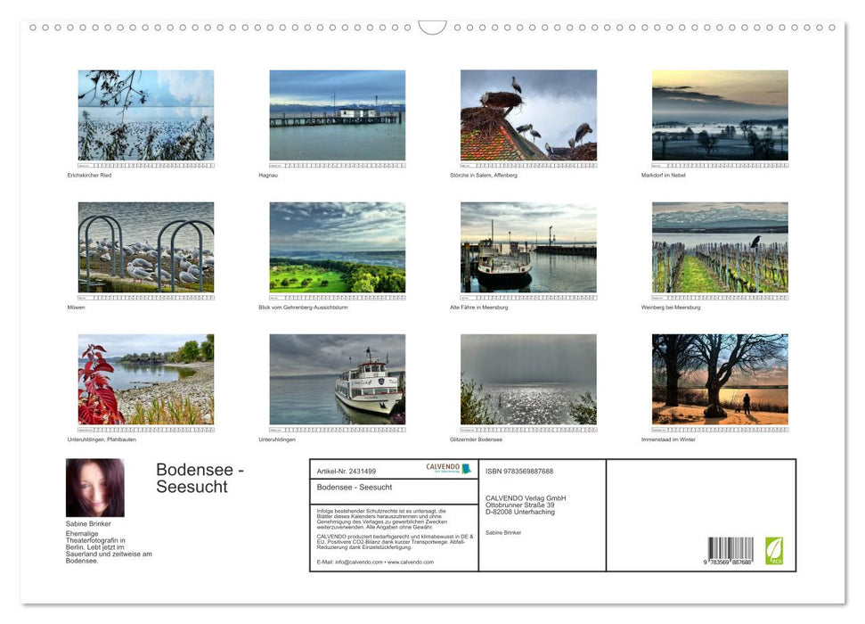 Bodensee - Seesucht (CALVENDO Wandkalender 2027)