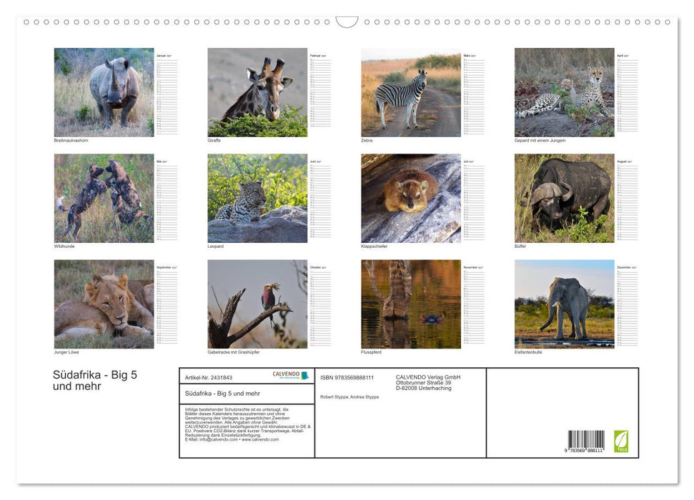 Südafrika - Big 5 und mehr (CALVENDO Wandkalender 2027)