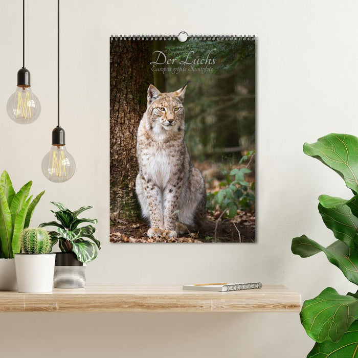Der Luchs - Europas größte Samtpfote (CALVENDO Wandkalender 2027)