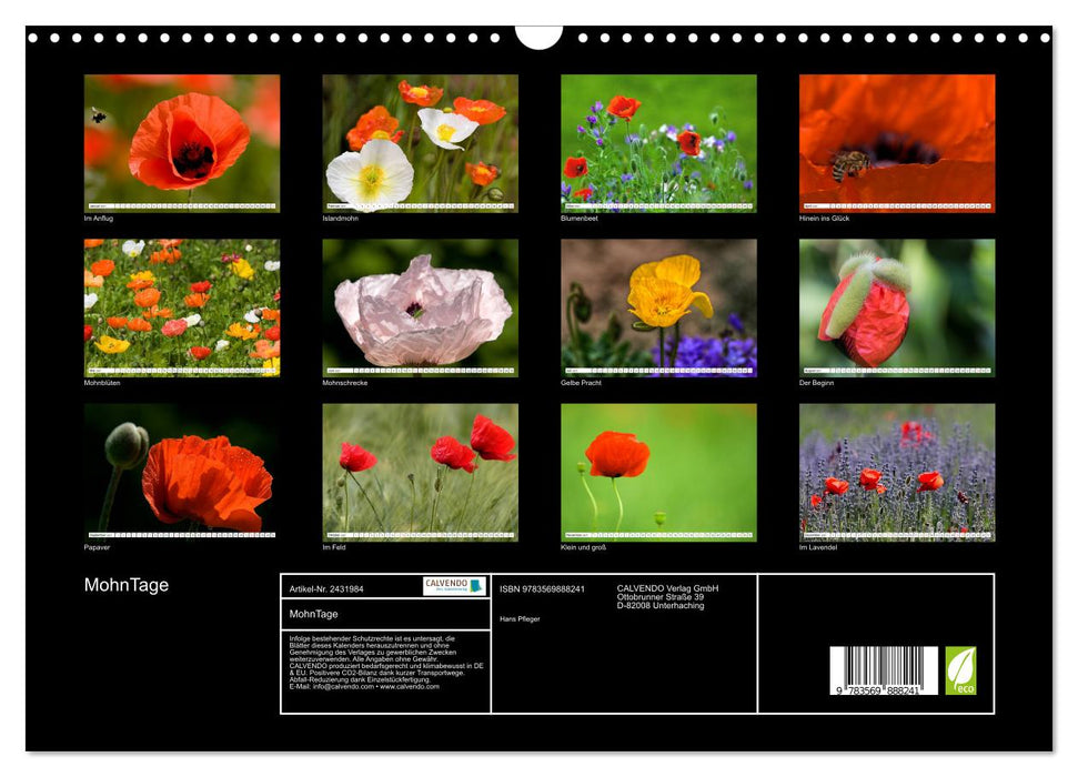 MohnTage (CALVENDO Wandkalender 2027)