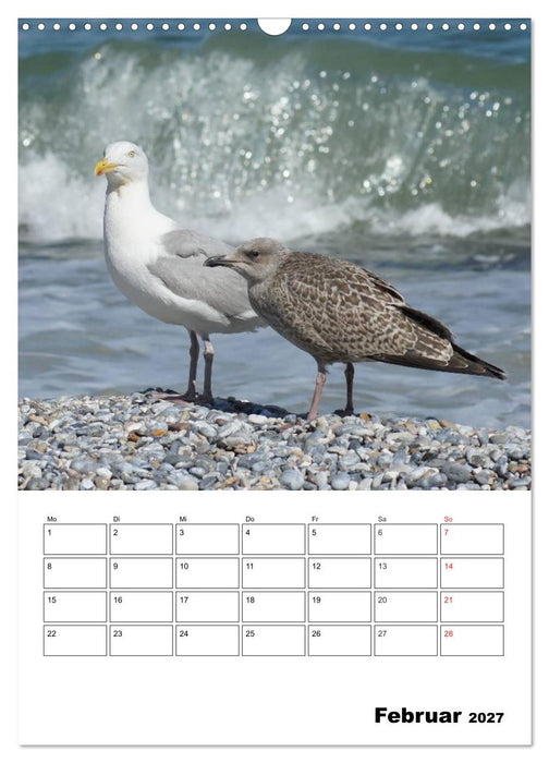 Einzigartige Insel Helgoland (CALVENDO Wandkalender 2027)