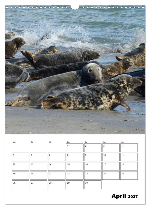 Einzigartige Insel Helgoland (CALVENDO Wandkalender 2027)