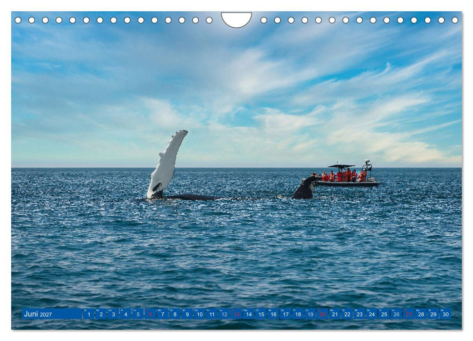 KANADA - Der maritime Osten (CALVENDO Wandkalender 2027)