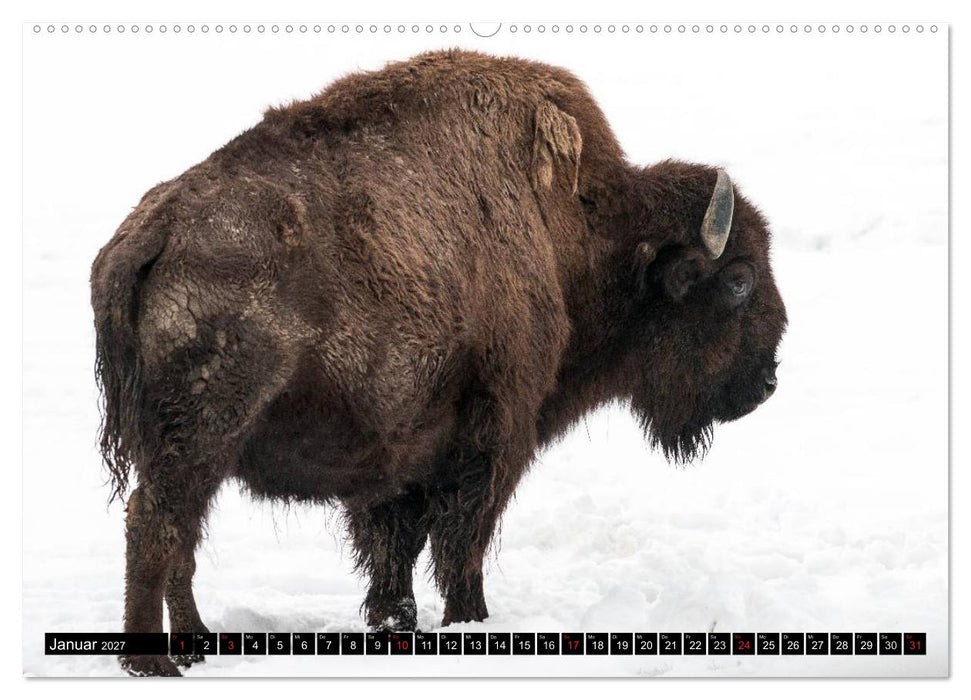 Bayerisches Western Gefühl (CALVENDO Wandkalender 2027)