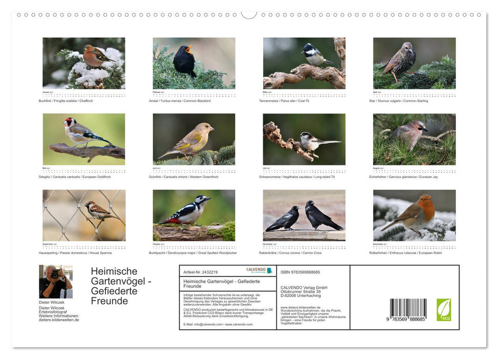 Heimische Gartenvögel - Gefiederte Freunde (CALVENDO Premium Wandkalender 2027)