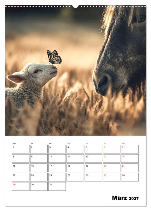 Ein Herz und eine Schnauze - Ein tierisch buntes Miteinander (CALVENDO Wandkalender 2027)