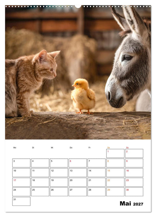 Ein Herz und eine Schnauze - Ein tierisch buntes Miteinander (CALVENDO Wandkalender 2027)