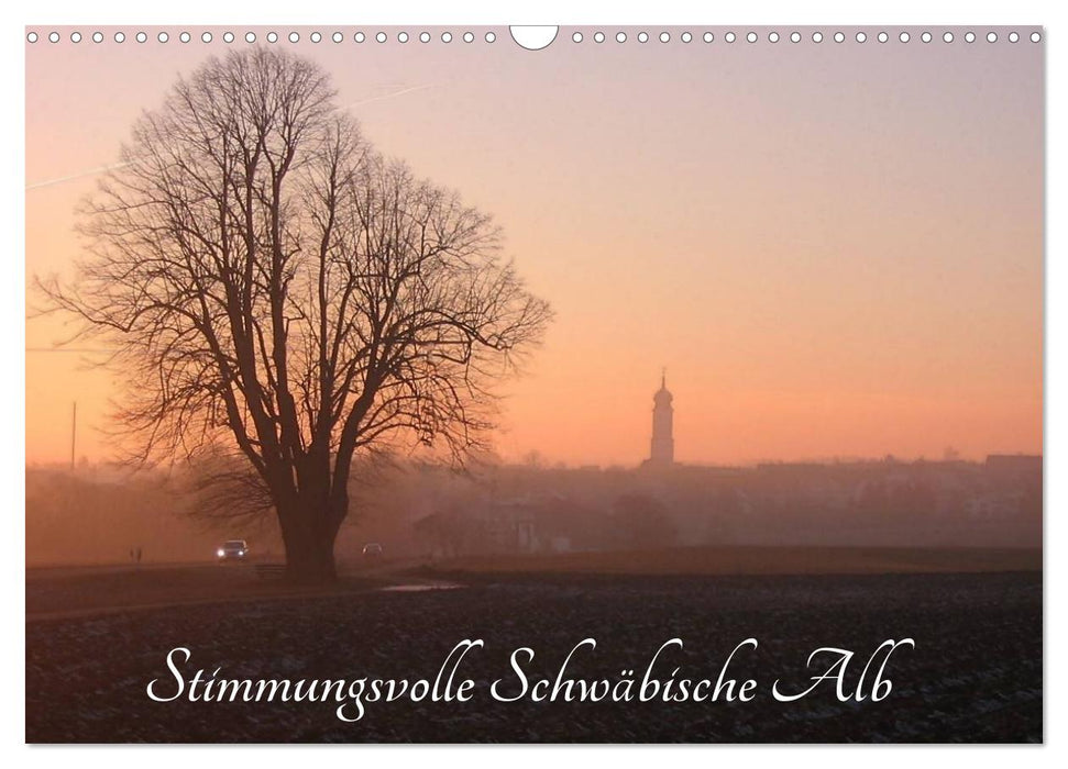 Stimmungsvolle Schwäbische Alb (CALVENDO Wandkalender 2027)