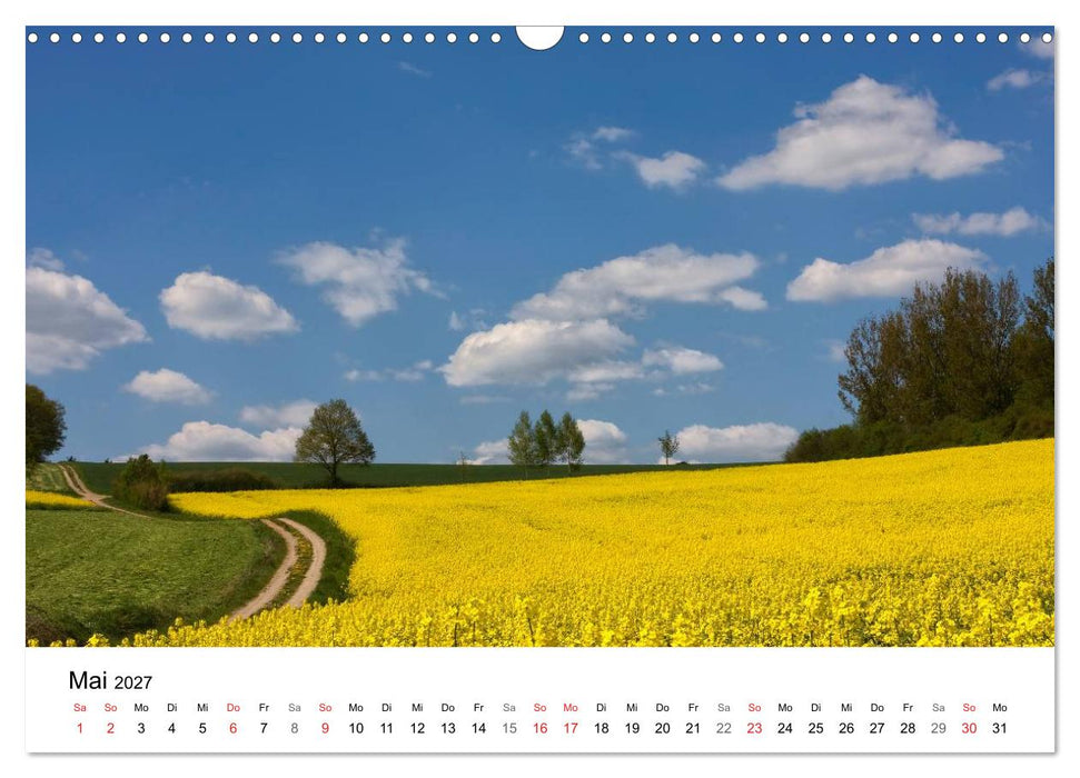Rapsodie (CALVENDO Wandkalender 2027)