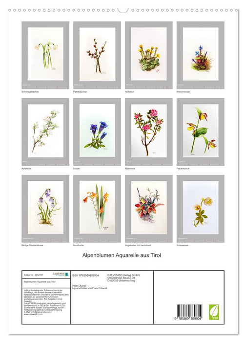 Alpenblumen Aquarelle aus Tirol (CALVENDO Premium Wandkalender 2027)