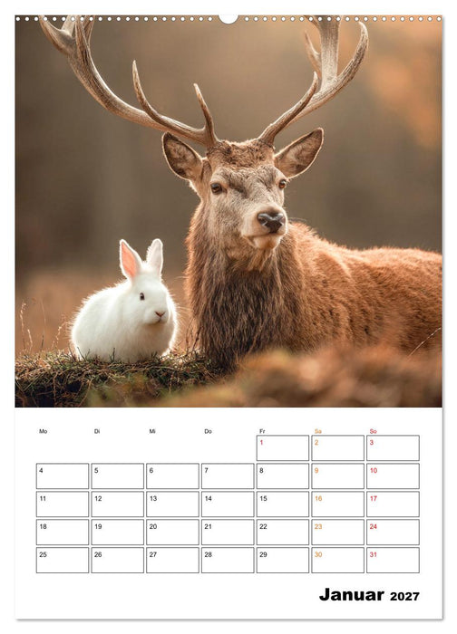 Ein Herz und eine Schnauze - Ein tierisch buntes Miteinander (CALVENDO Premium Wandkalender 2027)