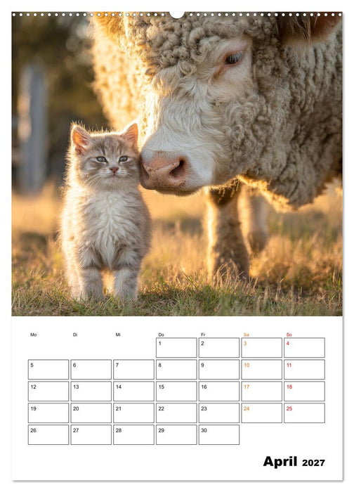Ein Herz und eine Schnauze - Ein tierisch buntes Miteinander (CALVENDO Premium Wandkalender 2027)